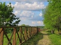 Footpath, wooden fence, trees, Petrovsky Val. Kopys, Belarus