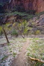 Footpath in Zion Canyon