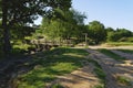 Footpaths converge at a wooden bridge across Burbage Brook in Padley Gorge