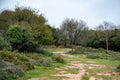 Footpaths and countryside