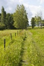 Footpaths on a meadow Royalty Free Stock Photo