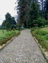 The footpaths in the park