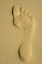 Footprint Royalty Free Stock Photo