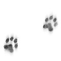 Footprint