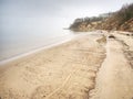 Footprint and animal prints in beach sand Royalty Free Stock Photo