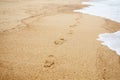 Footprint of bare feet on wet sand. Summer vacation on the beach. Sea shore Royalty Free Stock Photo