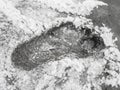 A footprint of a barefoot human foot on the muddy surface of a very salty lake