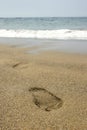Footprint Beach