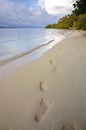 Footprint on the Beach Royalty Free Stock Photo
