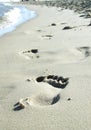 Footprint on the beach Royalty Free Stock Photo