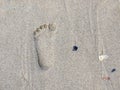 Footprint on the beach