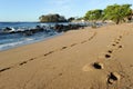 Footprint on the beach of Los Cobanos Royalty Free Stock Photo