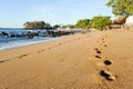 Footprint on the beach of Los Cobanos Royalty Free Stock Photo