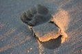 Footprint on beach sand at sunset Royalty Free Stock Photo
