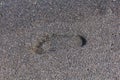 Footprint in the Black Sand Royalty Free Stock Photo