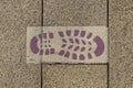 Footprint of a boot painted on the ground that guides the pilgrims along the Camino de Santiago. Galicia, Spain.