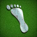 Footprint with a chip on the surface of the grass. Royalty Free Stock Photo