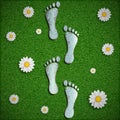 Footprint with a chip on the surface of the grass. Royalty Free Stock Photo