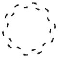 Footprint circle pattern. Walking path illustration. Black footprint vector. Round track symbol.