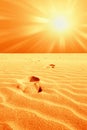 Footprint in the desert Royalty Free Stock Photo