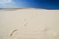 The footprint in desert Royalty Free Stock Photo