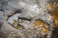 Footprint of dinosaur Carnotaurus on ground near stream at Phu Faek national forest park , Kalasin ,Thailand . Water logged on Royalty Free Stock Photo