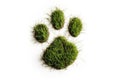 Footprint Of Dog In Green Grass On White Background. Generative AI Royalty Free Stock Photo