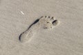 Footprint in drifting sand