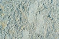 Footprint on fine sand texture