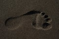 Footprint foot