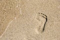 Footprint in golden sand