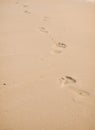 Footprint in golden sand