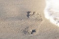 Footprint with golden sand. Beach, wave and footstep on sunny day Royalty Free Stock Photo