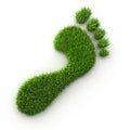 Green grass footprint - ecology 3D illustration Royalty Free Stock Photo