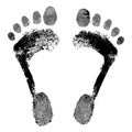 Footprint grunge detailed vector image Royalty Free Stock Photo