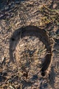 Footprint of a horseshoe on wet soft and muddy ground