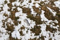 Footprint of a human in the snow in mountains after Winter in Spring Royalty Free Stock Photo