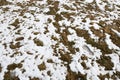 Footprint of a human in the snow in mountains after Winter in Spring Royalty Free Stock Photo