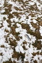 Footprint of a human in the snow in mountains after Winter in Spring Royalty Free Stock Photo