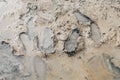 Footprint or imprint shoe in the mud.Mud texture or wet brown soil as natural organic clay and geological sediment mixture as in r