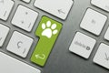Footprint - Inscription on Green Keyboard Key