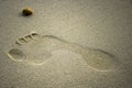 Footprint inside white sand on the beach created when people walking barefoot on the exotic coastline