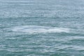 Footprint left by the fluke of a diving Sperm Whale, New Zealand