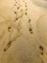 Footprint love couple on the sand beach for a walk in the ocean Royalty Free Stock Photo