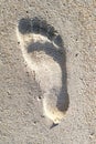 Footprint of a man on the sand on the seashore. Royalty Free Stock Photo