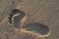 Footprint of a man on the wet sand. Rest on the sea beach Royalty Free Stock Photo