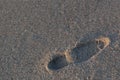 Footprint on marine sand from shoes large size, footprint male its feet, the bottom place for text free, texture Royalty Free Stock Photo