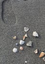 Footprint near a pile of shells on a beach near the Gulf of Mexico Royalty Free Stock Photo