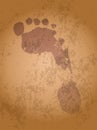 Footprint On the Old Paper