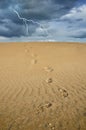 Footprint over the sand Royalty Free Stock Photo